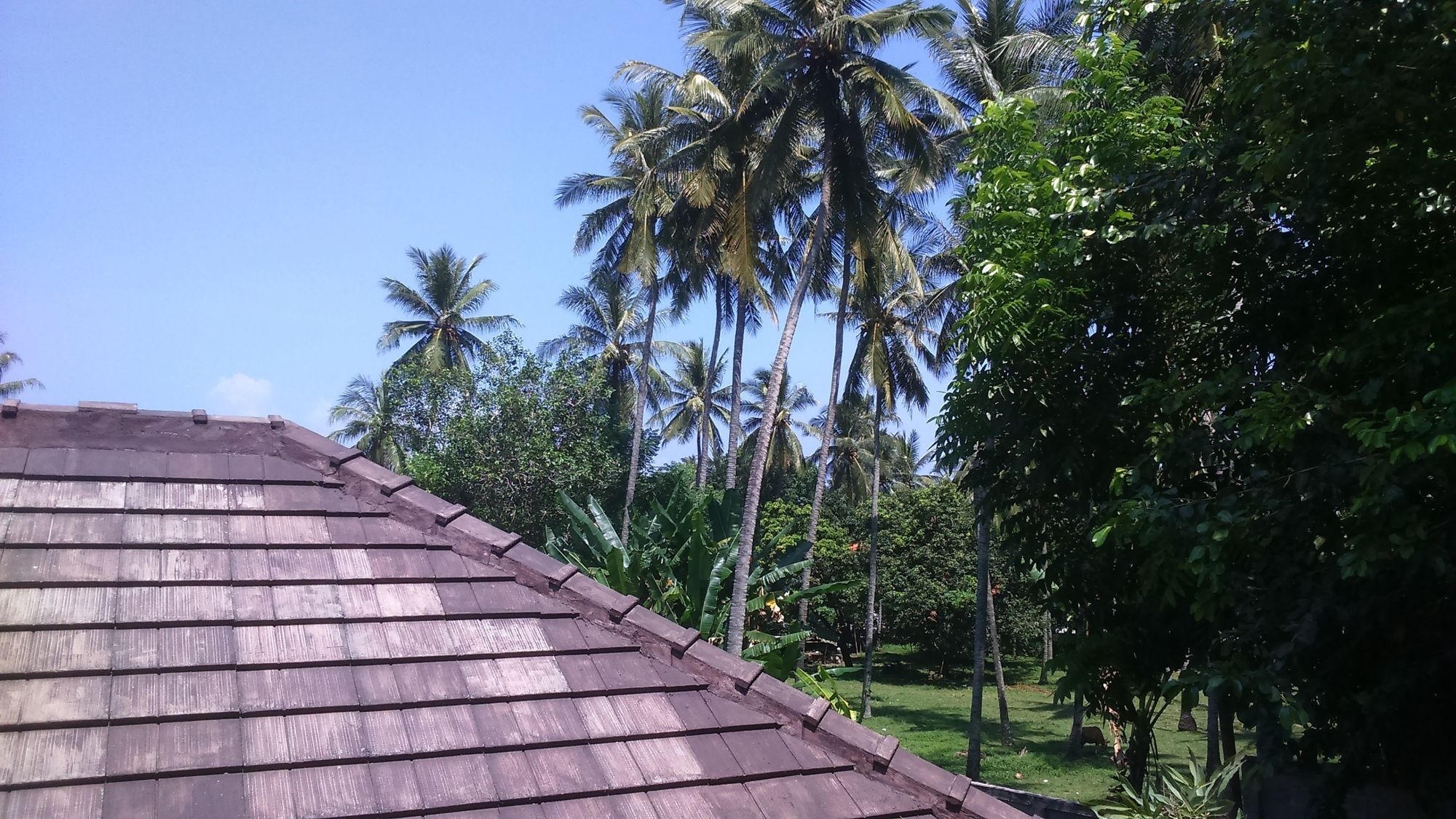 Senggigi Cottages Lombok Dış mekan fotoğraf