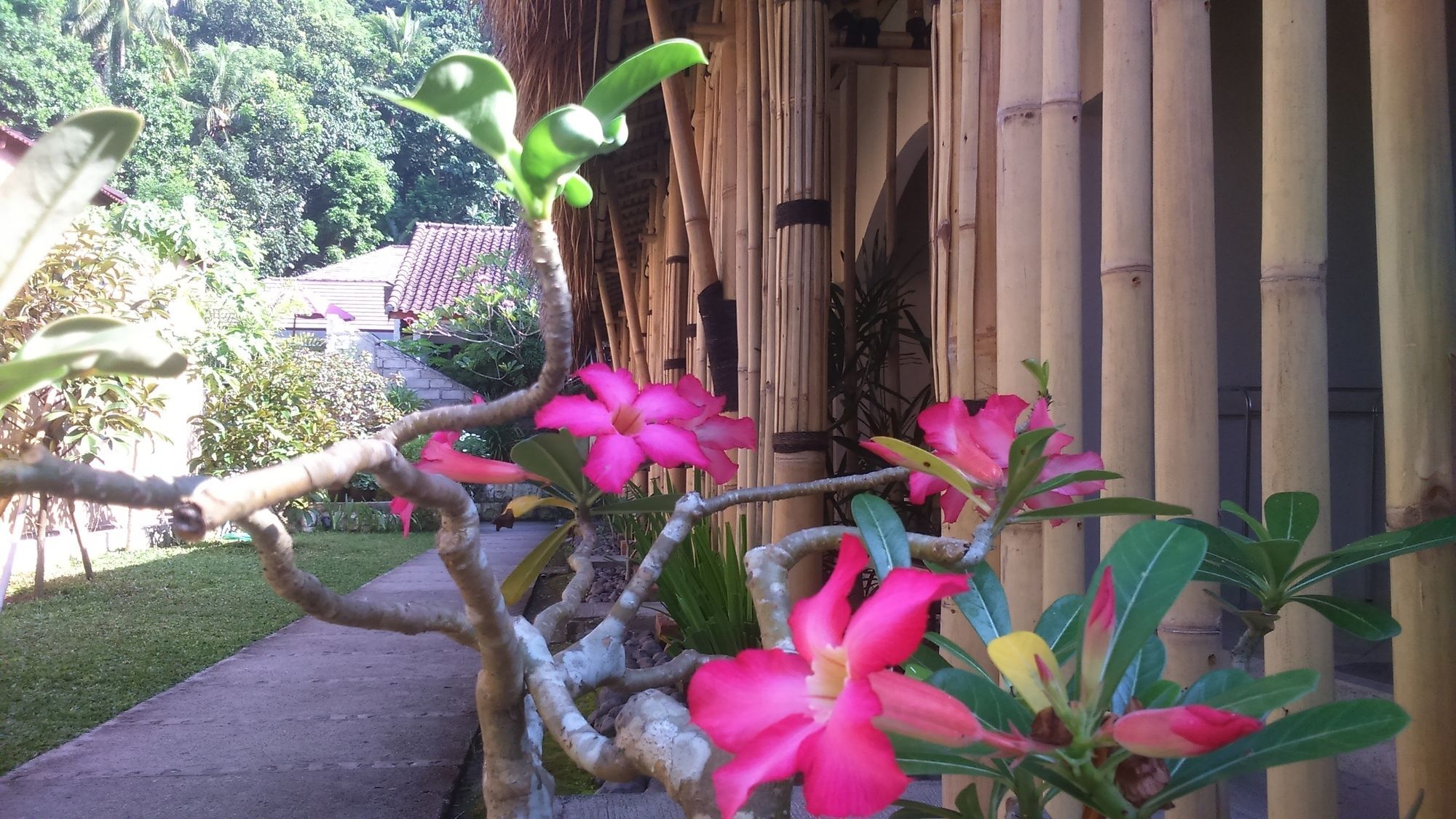 Senggigi Cottages Lombok Dış mekan fotoğraf